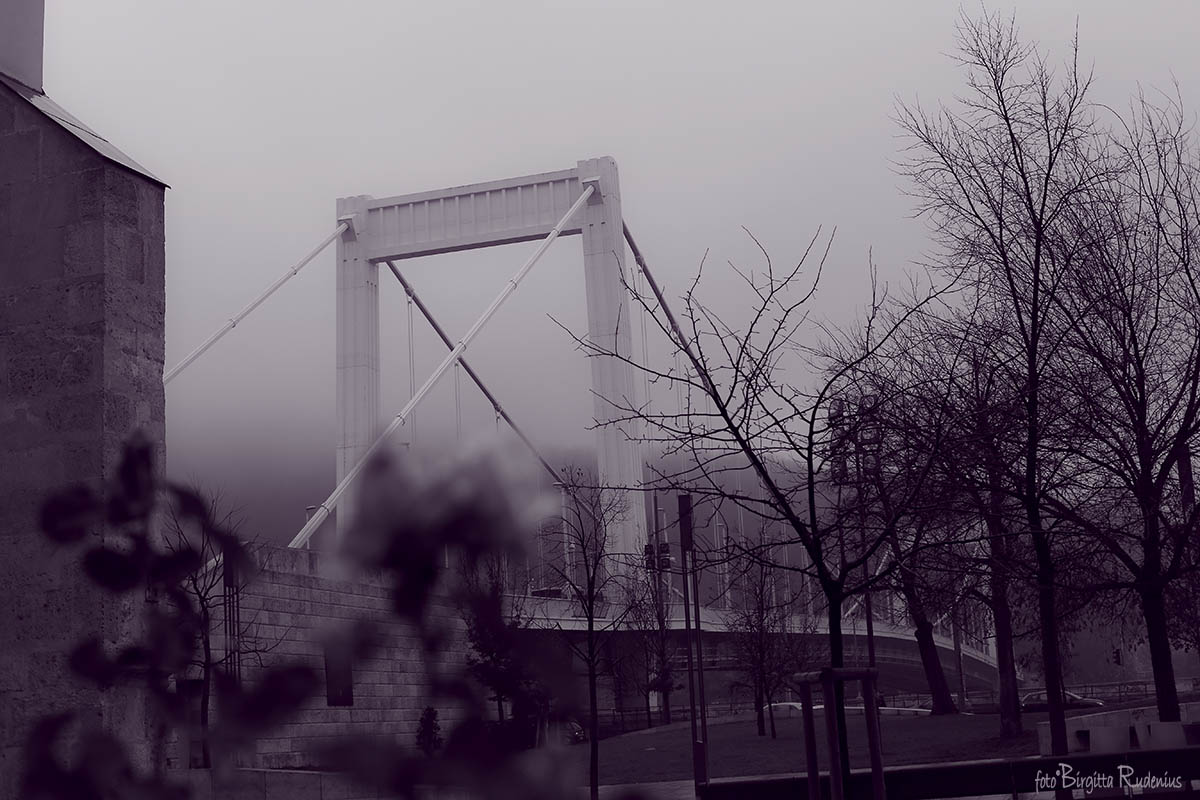 Purple - Elisabet Bridge, Budapest ©BirgittaRudenius